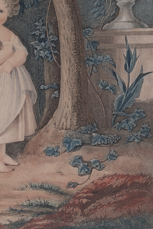 フランスアンティーク版画　植物2